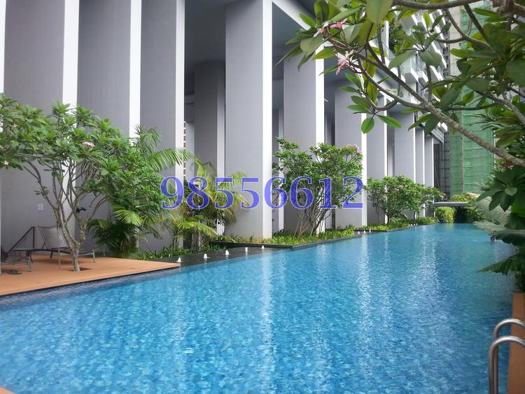 Ascentia Sky (D3), Condominium #99946042